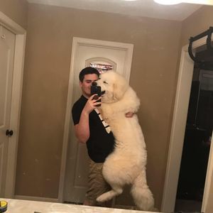 Meet your Posher, Ben